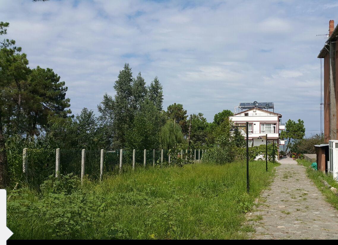 Sebile Hanim Sahil Hotel Unye Exterior photo